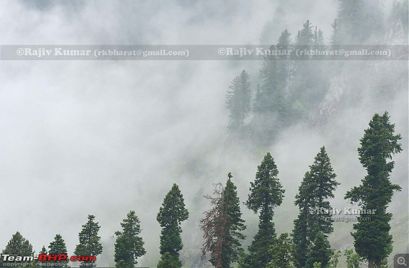 Kashmir - Heaven, where you live to experience it-kashmir-190.jpg