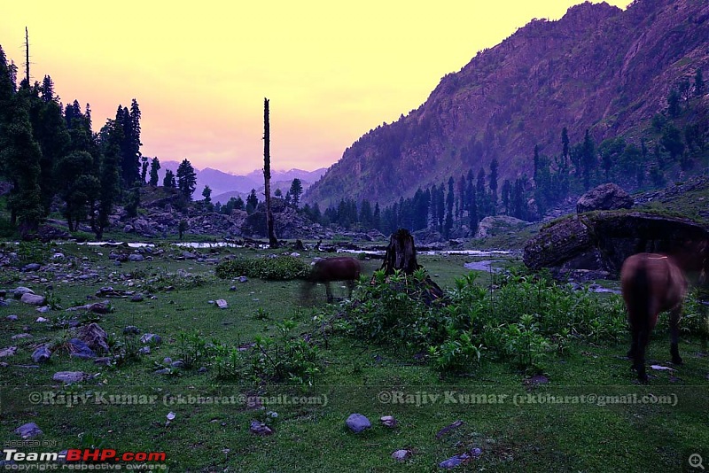 Kashmir - Heaven, where you live to experience it-kashmir-193.jpg