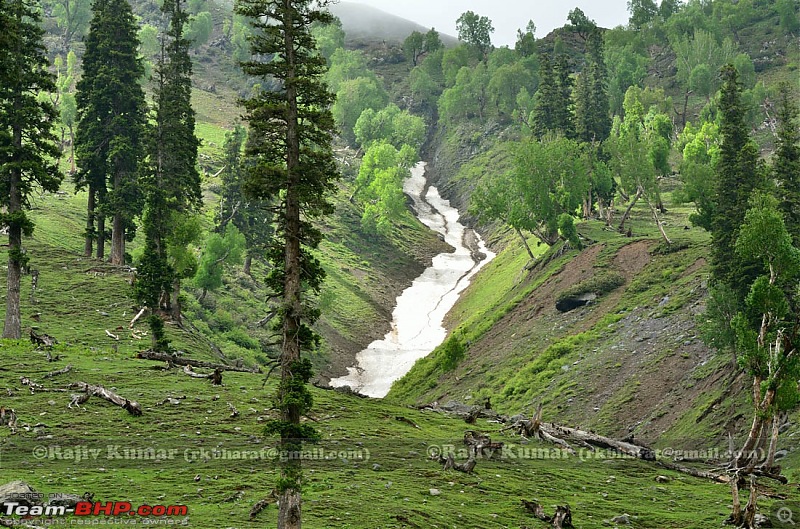 Kashmir - Heaven, where you live to experience it-kashmir-202.jpg