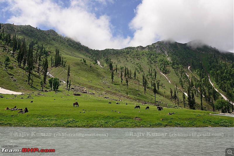 Kashmir - Heaven, where you live to experience it-kashmir-207.jpg