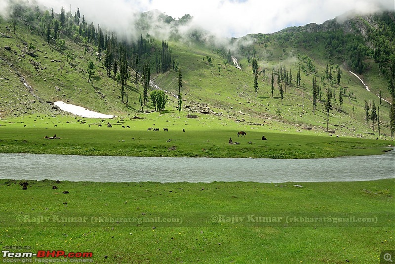 Kashmir - Heaven, where you live to experience it-kashmir-208.jpg