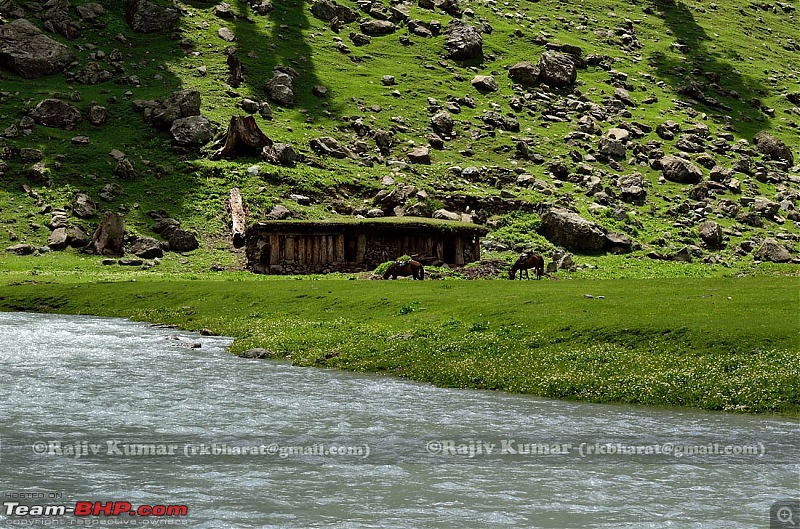 Kashmir - Heaven, where you live to experience it-kashmir-210.jpg