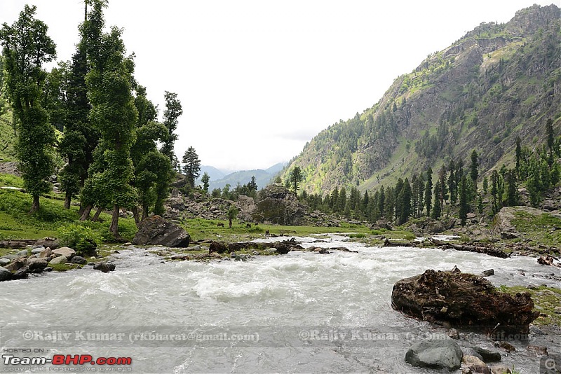 Kashmir - Heaven, where you live to experience it-kashmir-218.jpg