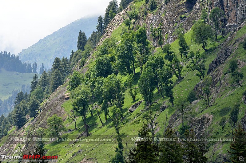 Kashmir - Heaven, where you live to experience it-kashmir-220.jpg