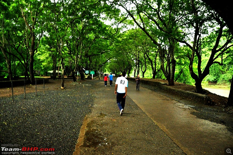 Shilonda Trail (Nature Walk) @ Sanjay Gandhi National Park, Borivali-j3-dsc_1468.jpg