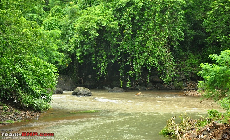 Shilonda Trail (Nature Walk) @ Sanjay Gandhi National Park, Borivali-j5-dsc_1473.jpg