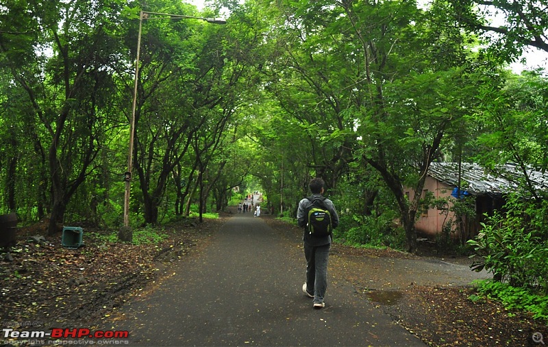 Shilonda Trail (Nature Walk) @ Sanjay Gandhi National Park, Borivali-j6-dsc_1475.jpg