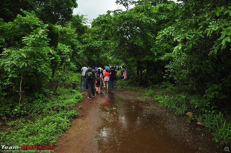 Shilonda Trail (Nature Walk) @ Sanjay Gandhi National Park, Borivali-j19-dsc_1558.jpg