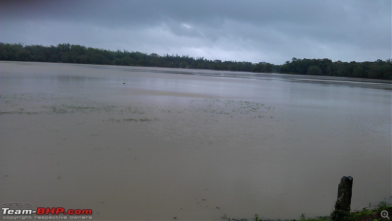 Monsoon in Malnad-3.jpg