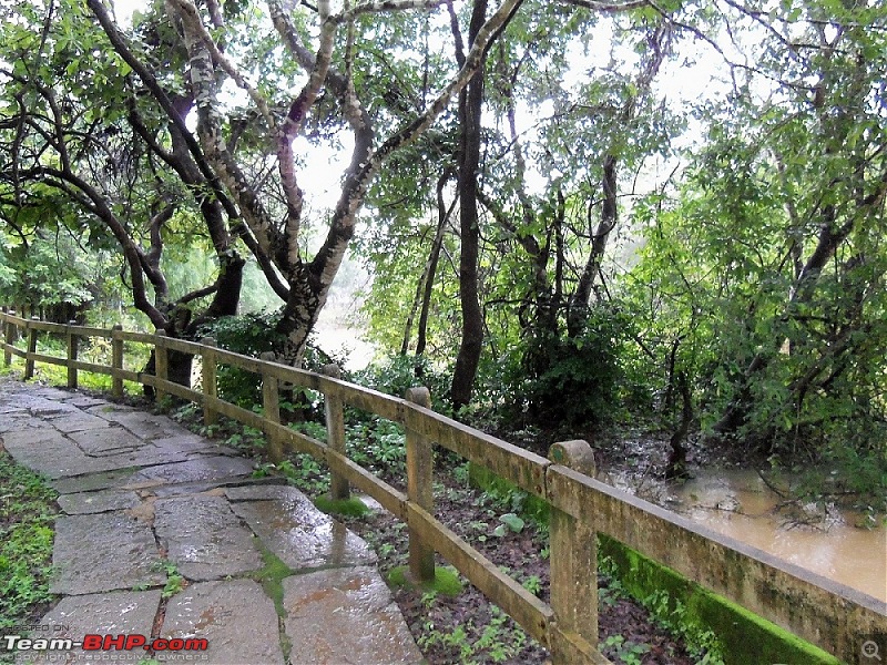 Monsoon in Malnad-9.jpg