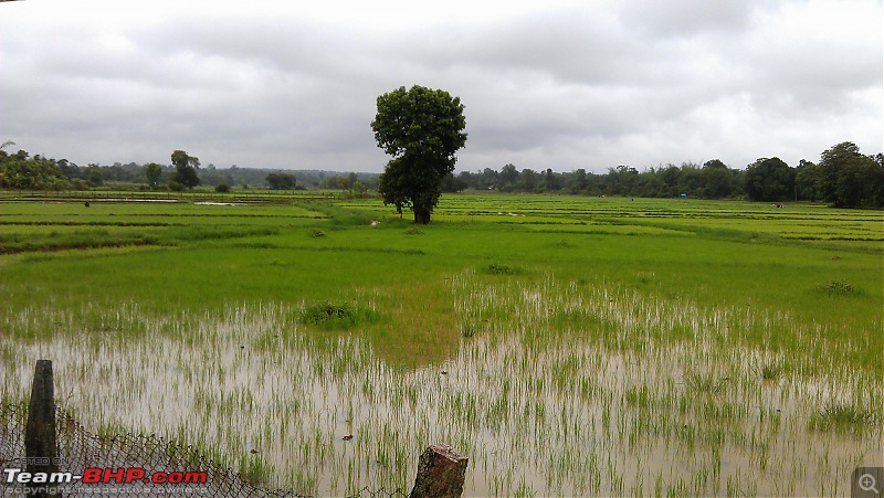 Monsoon in Malnad-a_9.jpg