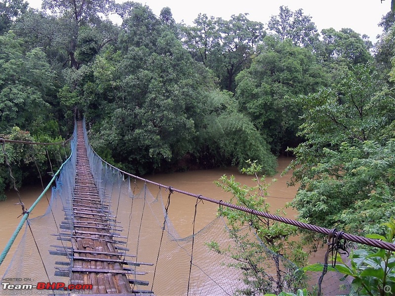 Monsoon in Malnad-d_5.jpg