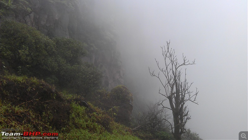 Monsoon in Malnad-e_9.jpg