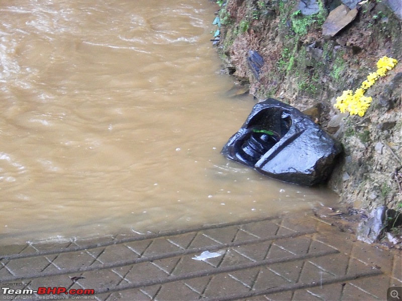 Monsoon in Malnad-g_5.jpg