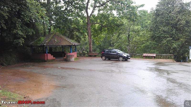 Monsoon in Malnad-g_9.jpg