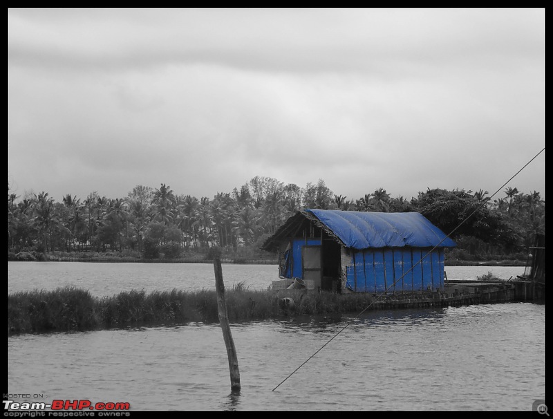 Road Trip: Valparai to Cherai (via Sholayar)-backwaters.jpg