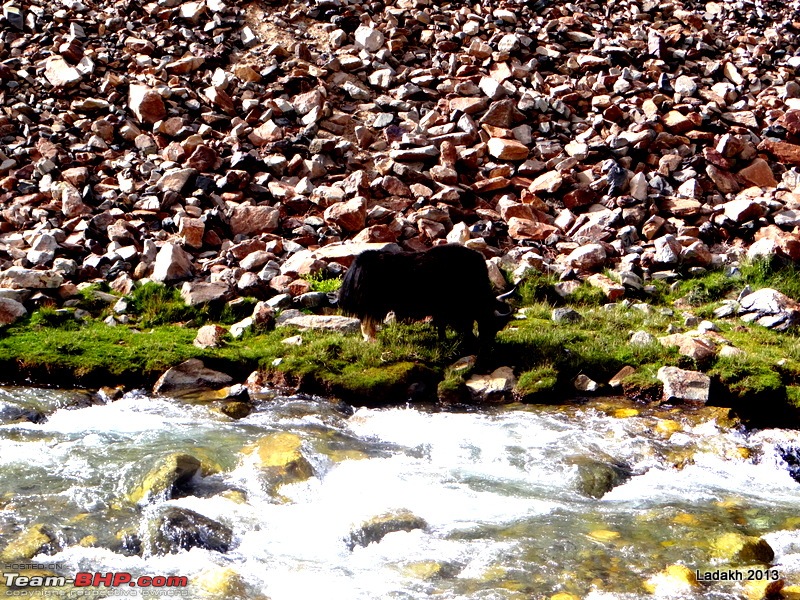 The Mahindra Monastery Escape 2013: Delhi - Leh - Srinagar-dsc03407.jpg