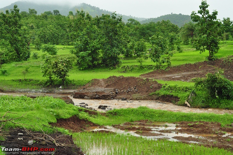 Monsoon 2013: Freshness reloaded (Ratnagiri, Dabhosa-Jawhar, Shilonda, etc)-010-dsc_0397.jpg