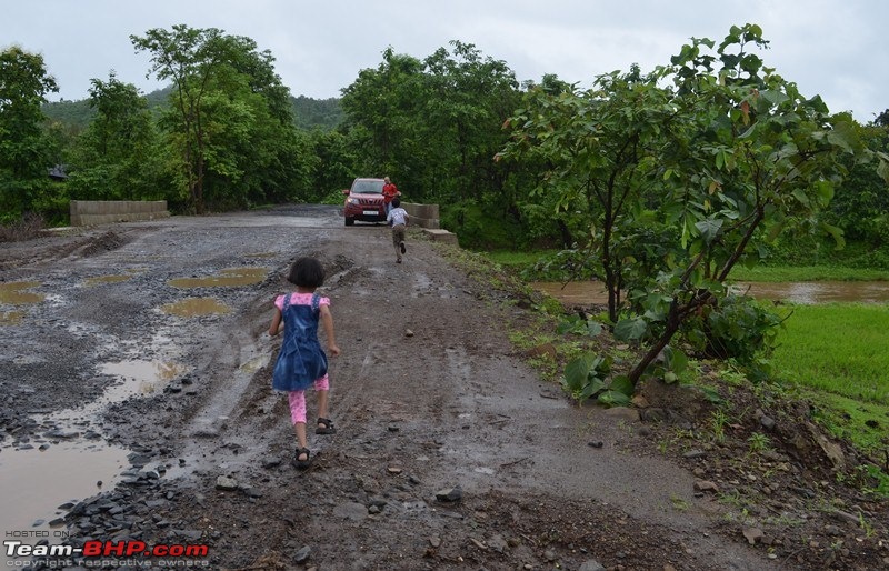 Monsoon 2013: Freshness reloaded (Ratnagiri, Dabhosa-Jawhar, Shilonda, etc)-023-dsc_0944.jpg