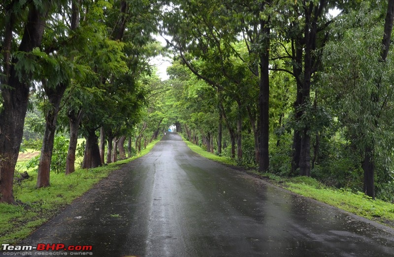 Monsoon 2013: Freshness reloaded (Ratnagiri, Dabhosa-Jawhar, Shilonda, etc)-037-dsc_0975.jpg