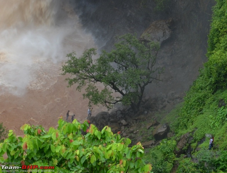 Monsoon 2013: Freshness reloaded (Ratnagiri, Dabhosa-Jawhar, Shilonda, etc)-059-dsc_1016.jpg