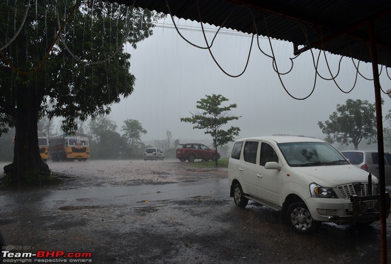 Monsoon 2013: Freshness reloaded (Ratnagiri, Dabhosa-Jawhar, Shilonda, etc)-074-dsc_1065.jpg