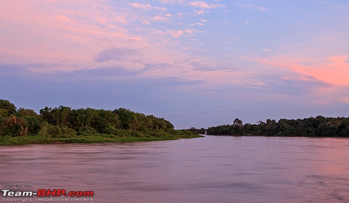 Photologue: Central Brazil. Jaguars, Giant Otters, Macaws & more-_dsm7315.jpg