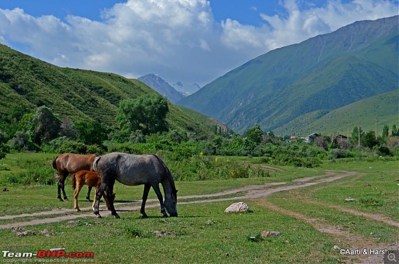 Central Asian Diaries - Kazakhstan & Kyrgyzstan-day07_0118.jpg