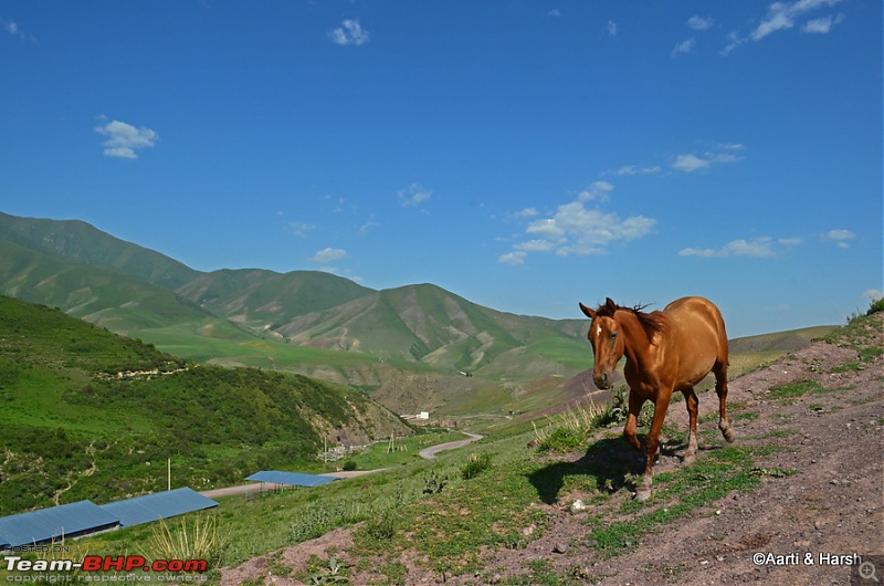 Central Asian Diaries - Kazakhstan & Kyrgyzstan-day07_0124.jpg