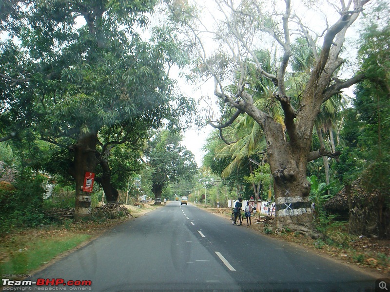 Tryst with Nature, Religion & History: Tanjore and Rameswaram Road-Trip-road-adinamipattinam-4.jpg