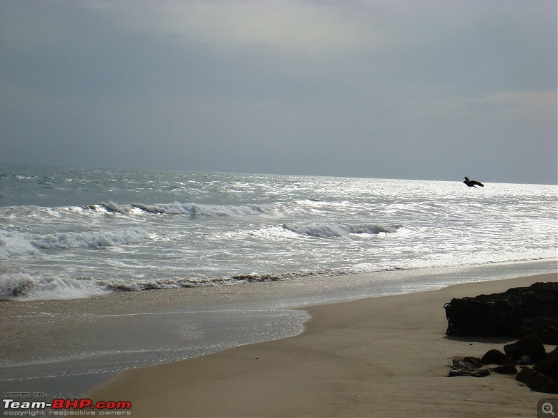 Tryst with Nature, Religion & History: Tanjore and Rameswaram Road-Trip-dhanushkodi-beach.jpg