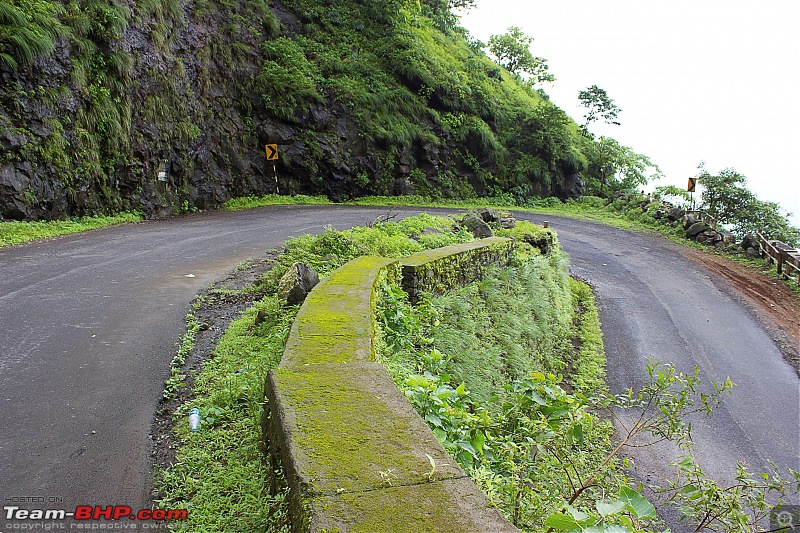 Monsoon Diaries: Varandha Ghat & Shivtharghal-img_3942.jpg