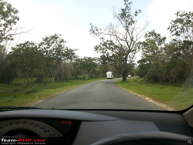 Beautiful Ooty Photologue: Live to Drive-bandipur_1.jpg