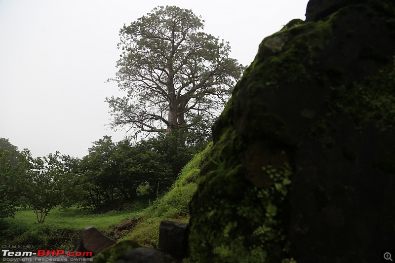 The Lone Driver: My rendezvous with India on its roads-mandav-2.jpg