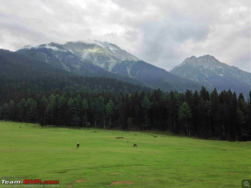 The Kashmir Valley - A Monsoon Photologue-img_1636.jpg