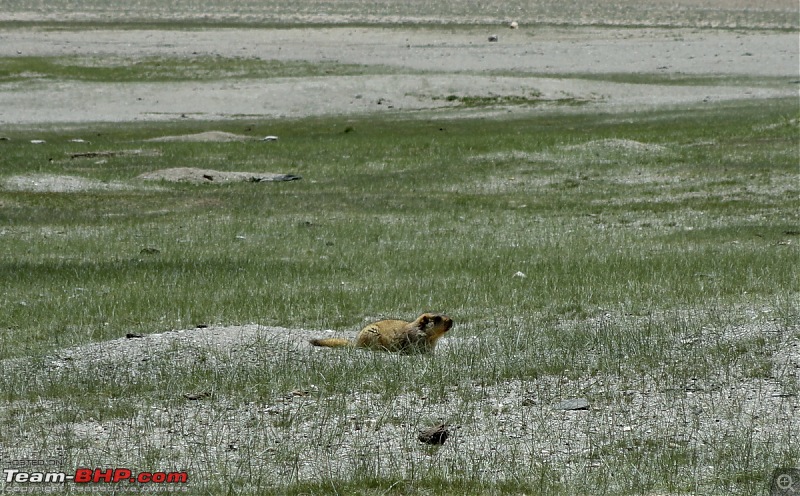 Ahir Dham - Zero KM, Ladakh. A Tribute & Travelogue-90k.jpg