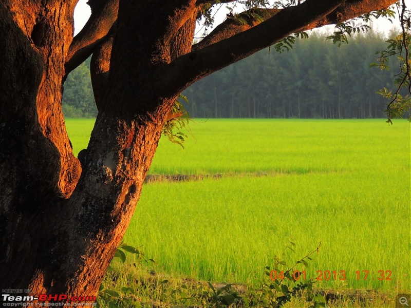 Mahabalipuram and Pondicherry : A Recall-5.jpg