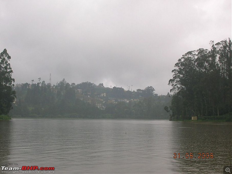 Amongst the misty Blue Mountains- Kochi to Ooty-tn_dscn5397.jpg