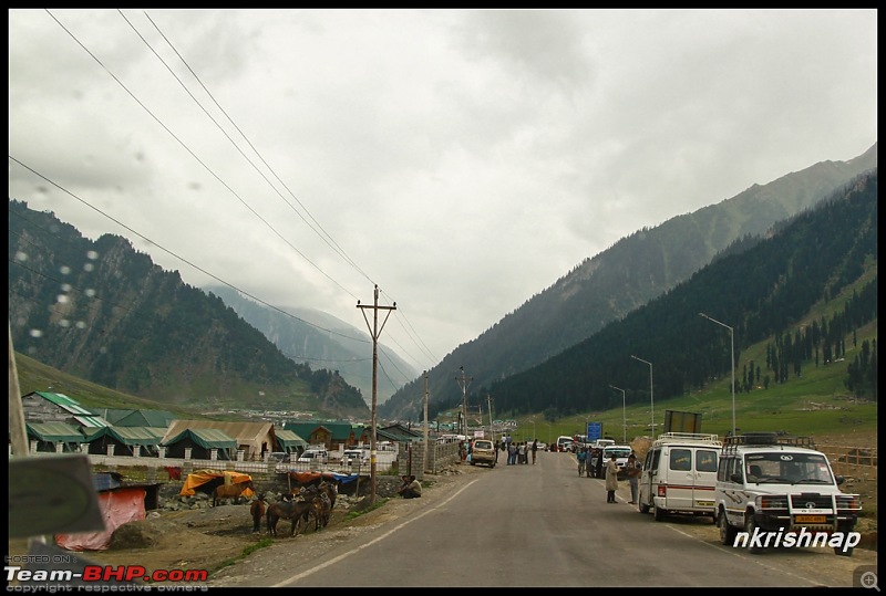 A glimpse of Paradise (Leh): 7300 kms, 8 States in a Linea-sonmarg-2.jpg