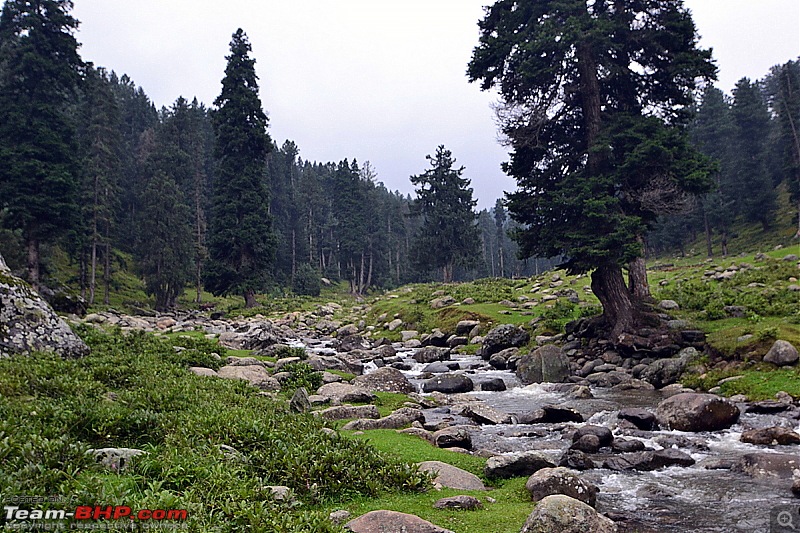 Yusmarg - The Hidden Wonder of Kashmir-dsc_0083.jpg