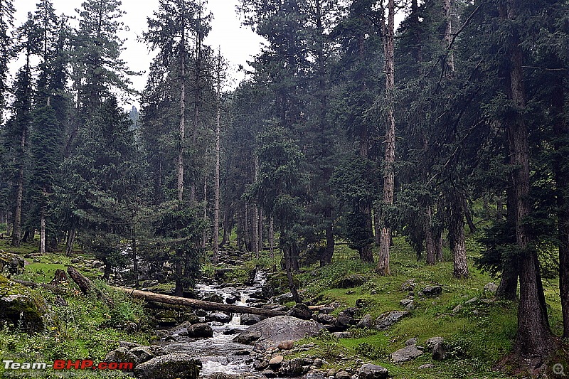 Yusmarg - The Hidden Wonder of Kashmir-dsc_0087.jpg