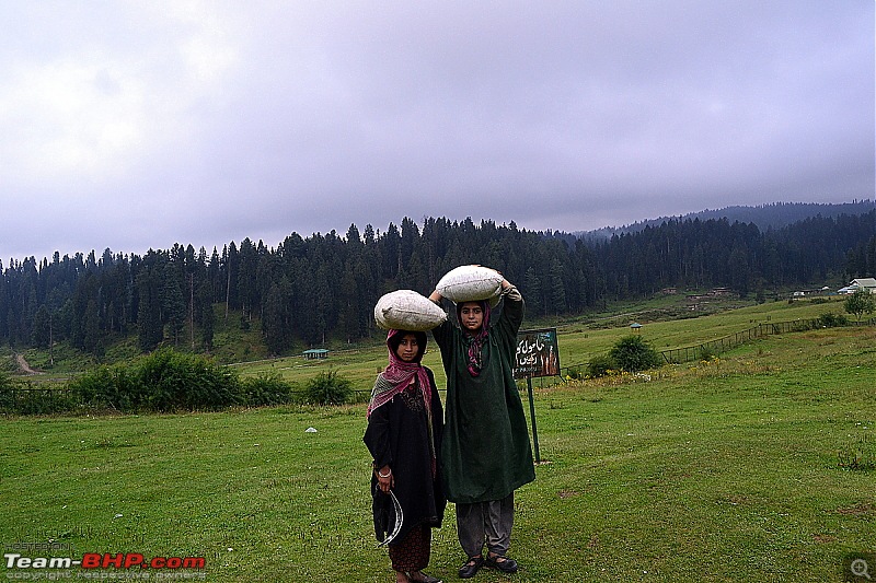 Yusmarg - The Hidden Wonder of Kashmir-dsc_0097.jpg