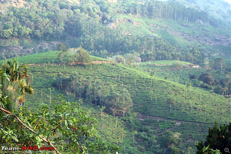 3 days, 3 buddies and 3 bikes. A ride from Chennai to Munnar-view-room.jpg