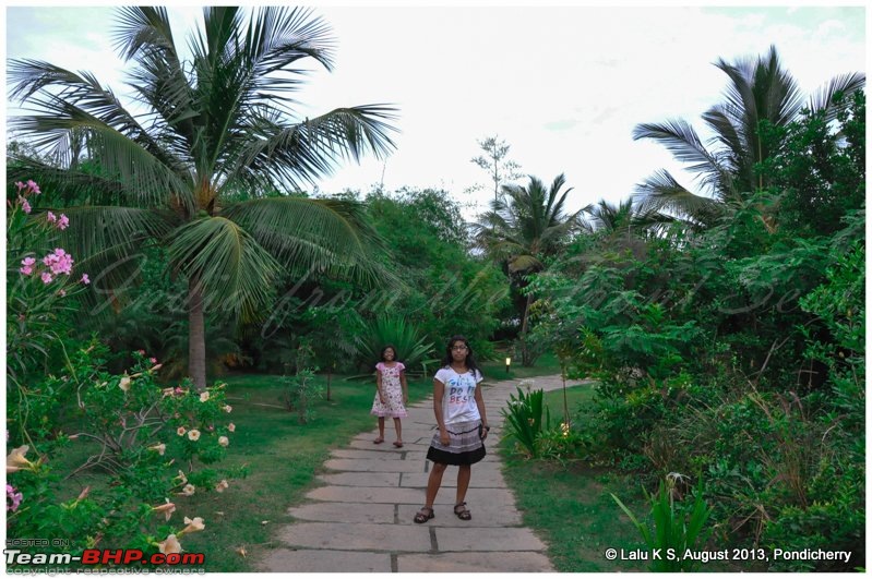 Civved : Pondicherry (Puducherry)-dsc_3370edit.jpg