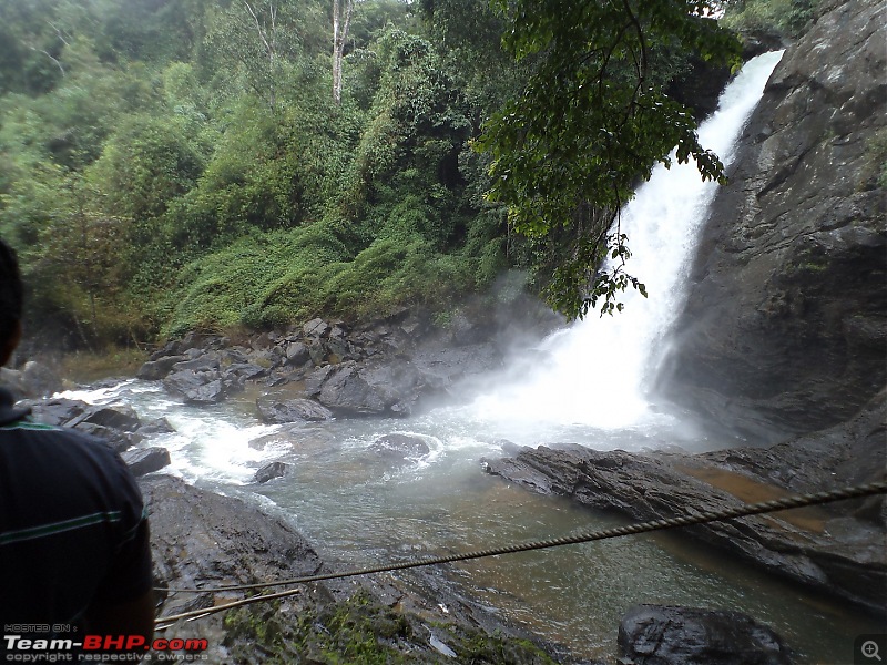 As the mist rolled in: Some fleeting moments @ Wayanad-dsc01503.jpg