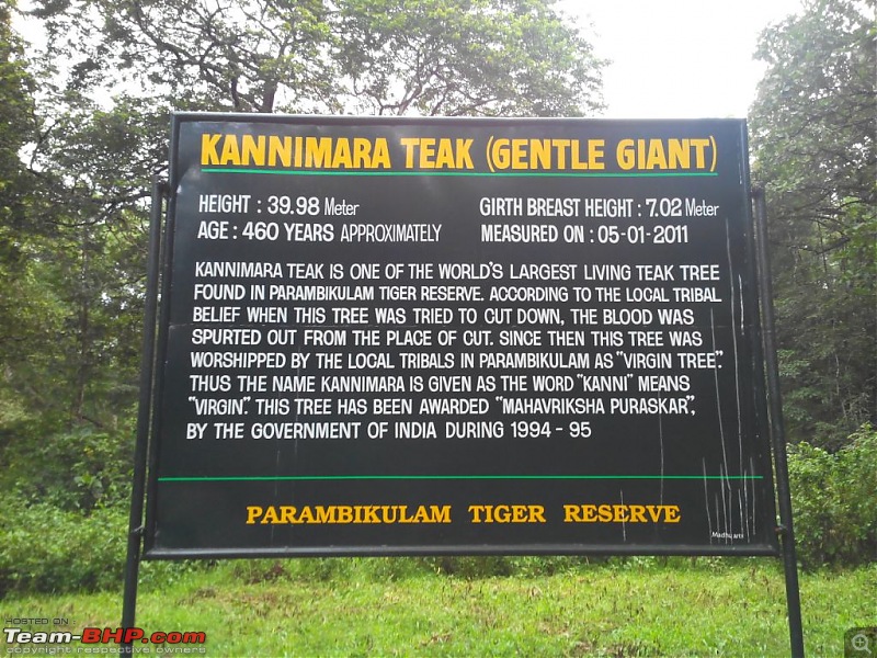 A quick visit to Parambikulam with the Jeeps-4.jpg