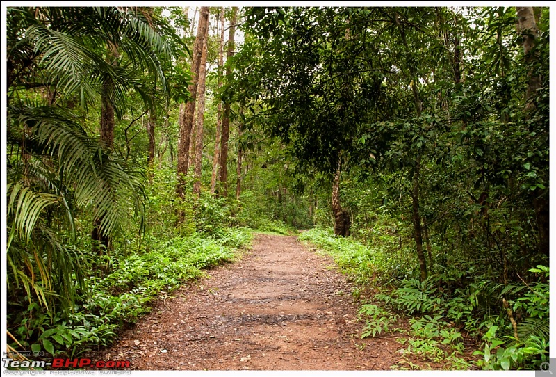 Escape the Heat - A Monsoon Vacation-dsc_0043.jpg