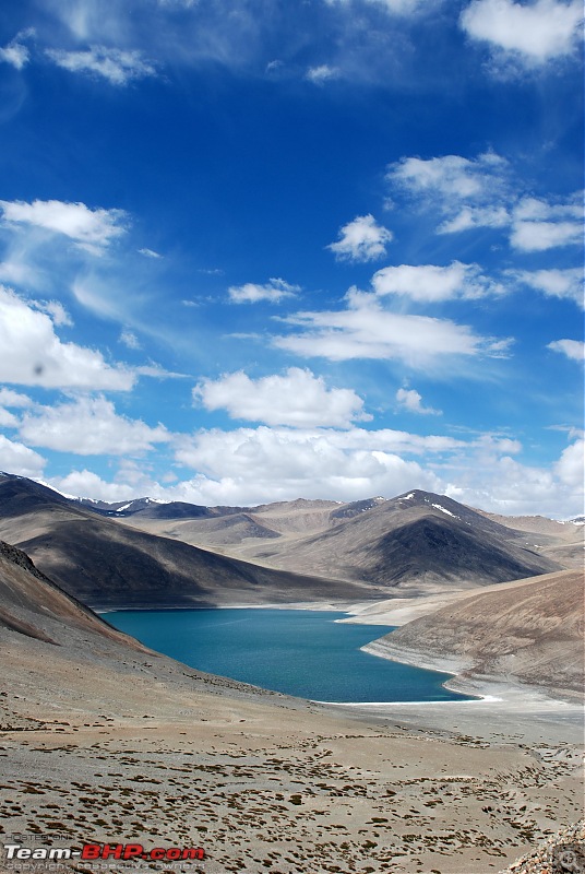 Jullay Ladakh!!-dsc_1008.jpg