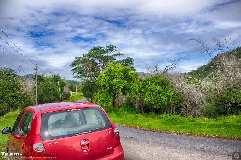 From Bangalore to Ooty!-bandipur-1.jpg