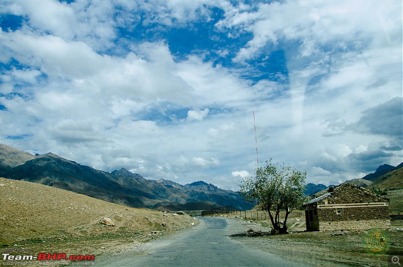 25-0-40 DownUnder to UpOver - LEH'd 2013-lecday769.jpg